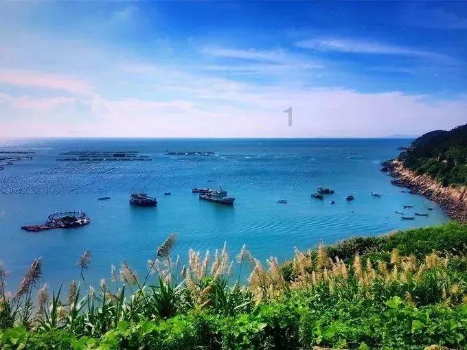 左权县寒王乡多举措壮大村集体经济